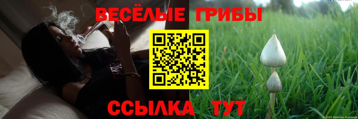 Галлюциногенные грибы GOLDEN TEACHER  Вход с VPN  цены наркотик  Аша  Псилоцибиновые грибы ЛСД 